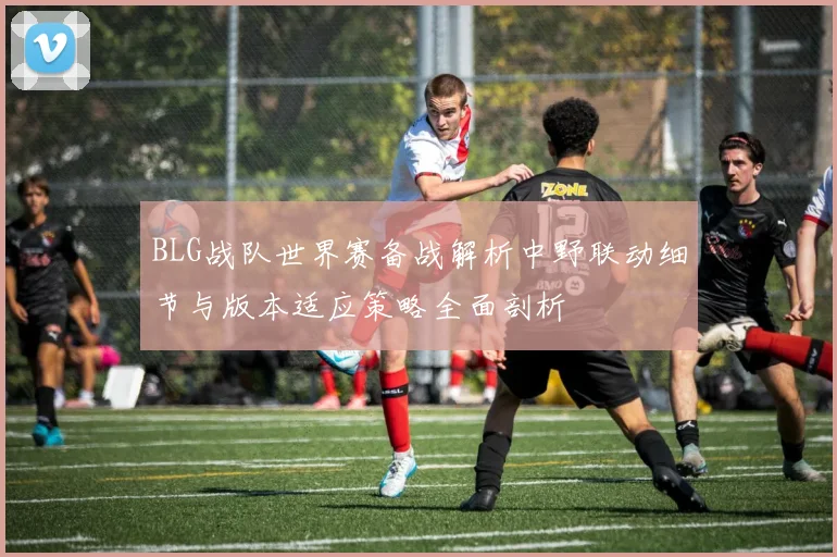 BLG战队世界赛备战解析中野联动细节与版本适应策略全面剖析