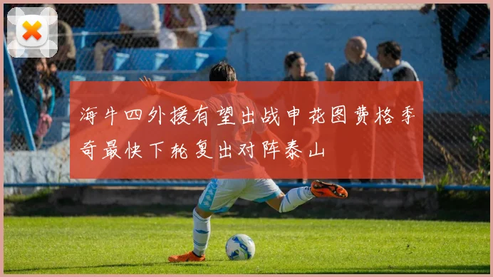海牛四外援有望出战申花图费格季奇最快下轮复出对阵泰山